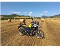 Suzuki DL 1000 XT V-Strom